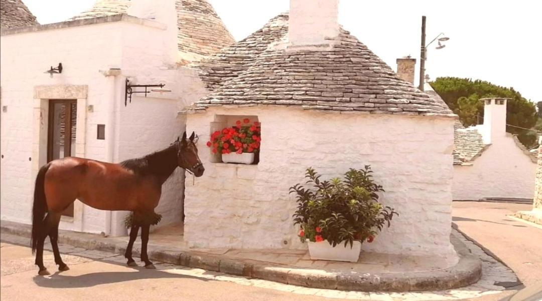 Trulli Resort Dimore Storiche Alberobello Eksteriør bilde